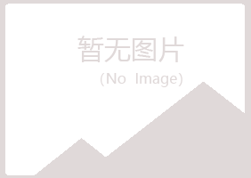 汉川字迹咨询有限公司